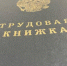 В Курской области средняя зарплата превысила 83 тысячи рублей - KurskTV.Ru
