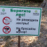 В Новороссийске планируют благоустроить Пионерскую рощу. Почему это тревожит? - Газета Новороссийский рабочий