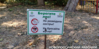 В Новороссийске планируют благоустроить Пионерскую рощу. Почему это тревожит? - Газета Новороссийский рабочий