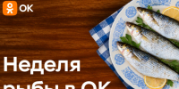 Россияне назвали отдых на природе главным смыслом рыбалки - Online47.Ru