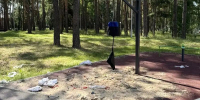 Действия детей, повредивших боксерскую грушу в сквере Демакова в Заречном, зафиксировала камера видеонаблюдения - ИА PenzaNews
