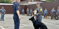 В Нижнем Тагиле собаки искали наркотики, взрывчатку и беглых преступников - ИА Все новости