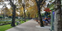 Фото: Живая Кубань - LiveKuban.Ru