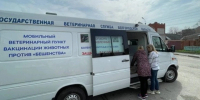 В Белгороде привили от бешенства более 700 животных - Сетевое издание Победа 31