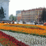 Сегодня на ежедневные работы по текущему содержанию города вышли 240 рабочих - Администрация города