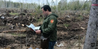 Фото пресс-службы правительства Вологодской области - Cher-Poisk.Ru