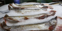 Врач назвала продукт, который надо есть до начала осени, чтобы укрепить иммунитет - 47 новостей
