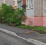 На 13 дворовых территориях ведутся работы по благоустройству в Вологде - Вологда.РФ