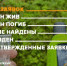 Почти 400 человек пропали в Петербурге и Ленинградской области за июнь - Online47.Ru