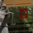 В Воронеже наркосбытчики не смогли обжаловать тюремные сроки - РИА Воронеж