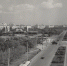 Волгоградский музей обнародовал редкие фотокарточки из Сталинграда - ИА Высота 102.0