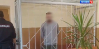 Суд избрал меру пресечения одному из напавших на пенсионерку в Гатчине - ГТРК Санкт-Петербург