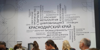 Творческие индустрии Кубани на пути к эффективному управлению - Комсомольская Правда
