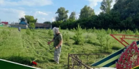 Продолжаются работы по благоустройству - Администрация Стерлитамакского района