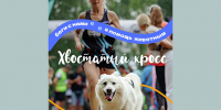 «Хвостатый кросс» в Твери: бежим ради тех, у кого пока нет дома - Газета Вся Тверь