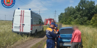 Женщина заблудилась в лесу Липецкого округа и потеряла собаку - LipetskMedia.Ru