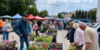 В Орле на три субботы закроют ярмарку на Приборостроительной - Комсомольская Правда