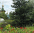 Грозы и до +30°C: прогноз погоды по Коми на 11 июля - Pg11.Ru