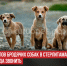 пост 3 - Cityopen.ru
