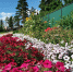 image - GazetaRB.Ru