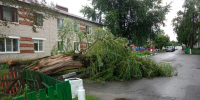 Ураган валил в Задонске деревья и столбы - Gorod48.ru