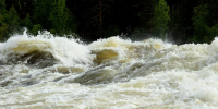Фото:Scandphoto/Shutterstock/Fotodom - Ямал-Медиа