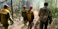 В Бурятии резко снизилось число лесных пожаров - ИА Байкал-Daily