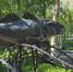В субботу в Заполярье до +27° - SeverPost.ru