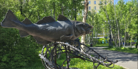 В субботу в Заполярье до +27° - SeverPost.ru