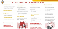 Профилактика сальмонеллеза - Роспотребнадзор