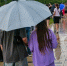 Дождь как избавление от зноя: погода в Камышине сегодня, 11 июля - Блокнот Камышин