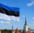 Эстония назвала сроки постройки военной базы на границе с Россией - Донецк Медиа