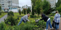 В Брянске прошла общегородская санитарная пятница - БрянскToday.Ru
