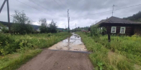 Кын - V-Kurse.Ru