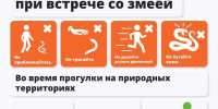 змеи.jpg - Черняховский муниципальный округ