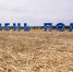 SV_11827 (1) - Рязанские ведомости