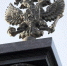 Белгородская областная Дума изменила полномочия губернатора - БелПресса
