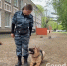 Студентка из Армавира стала лучшим кинологом региона - GorodArmavir.Ru