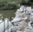 В Краснодарском водохранилище по-прежнему остаётся много воды - Голос Правды