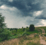 Фото: Valeriy Boyarskiy/Shutterstock/Fotodom - Ямал-Медиа