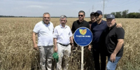 Делегация из Туркмении на пшеничном поле - UstLabInfo.Ru