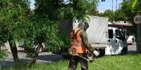 В Краснодаре скосили сорняки на площади более 23 тыс. гектаров - Кубанские Новости