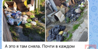 «Пошла на меня с лезвием»: в Новосибирске хозяйка «кошачьего концлагеря» напала на волонтёра - Precedent.TV