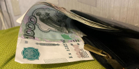 Чужой кошелек довел жительницу Саранска до суда - Info-Rm.Com