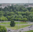 Рыбинск украсят 115 новых деревьев и 1500 кустарников - Ярославский регион