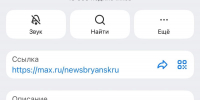 «Новости Брянска» достигли в MAX 18 тысяч подписчиков - Сетевое издание Новости Брянска