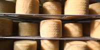 Новые ГОСТы на молочную продукцию появились в России - Spbdnevnik.ru