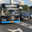 Новая выделенная полоса заработала на дублере Рублевского шоссе - M24.Ru