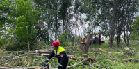 Энергетики устраняют последствия стихии в Боровском и Малоярославецком округах - Телерадиокомпания Ника