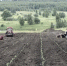 Ульяновцы устроили прованс в Русском Мелекессе - Ulpravda.Ru